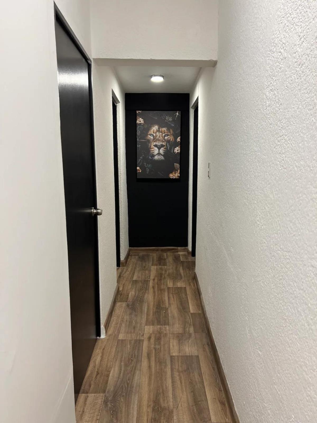Spacious In The Chic Polanco District Apartment Mexico City